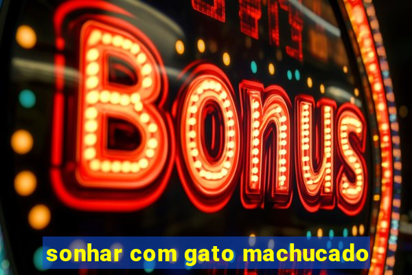 sonhar com gato machucado